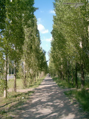 Волжский - город в Волгоградской области